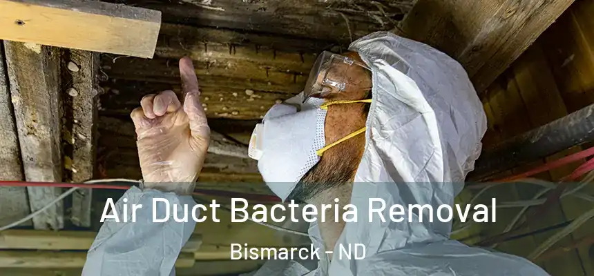 Air Duct Bacteria Removal Bismarck - ND
