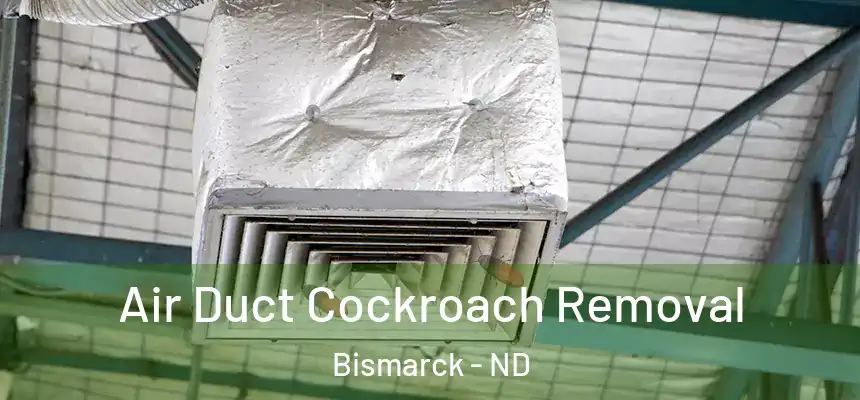  Air Duct Cockroach Removal Bismarck - ND