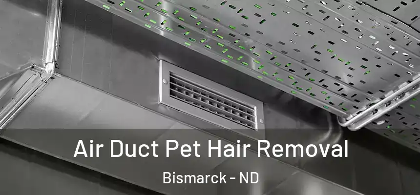 Air Duct Pet Hair Removal Bismarck - ND