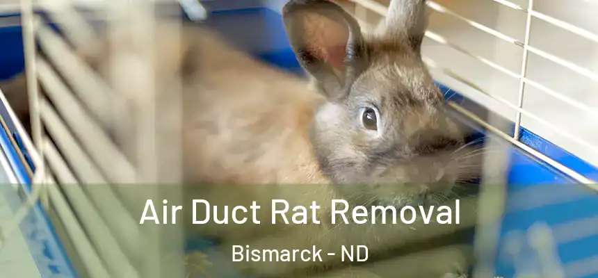 Air Duct Rat Removal Bismarck - ND