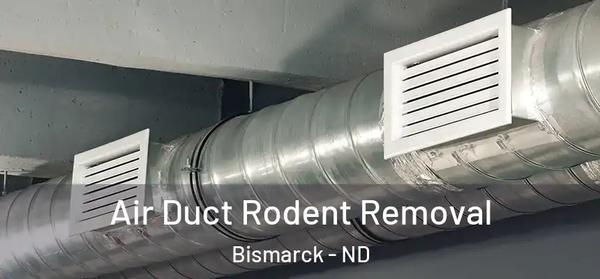 Air Duct Rodent Removal Bismarck - ND
