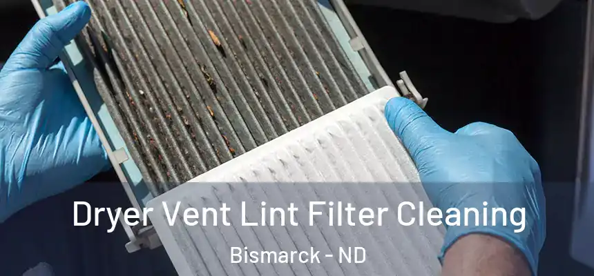 Dryer Vent Lint Filter Cleaning Bismarck - ND