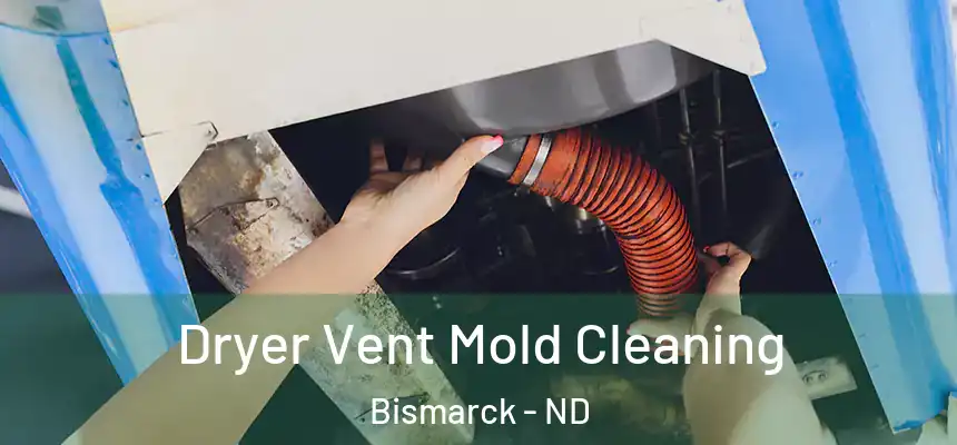  Dryer Vent Mold Cleaning Bismarck - ND