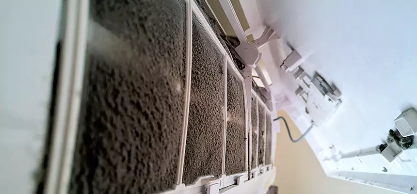 Preventive Air Duct Bacteria Removal in Bismarck