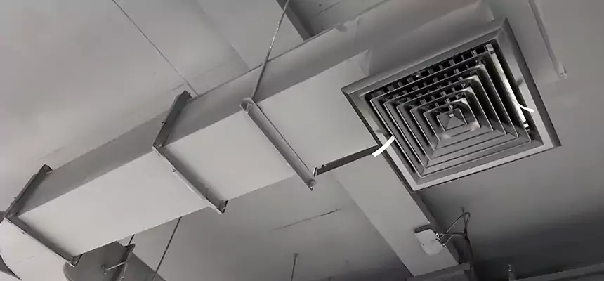 Restorative Allergy Relief Vent Cleaning – Coil, Blower & Housing Detail in Bismarck