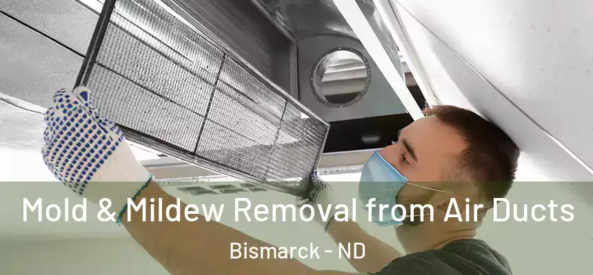 Mold & Mildew Removal from Air Ducts Bismarck - ND