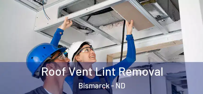  Roof Vent Lint Removal Bismarck - ND
