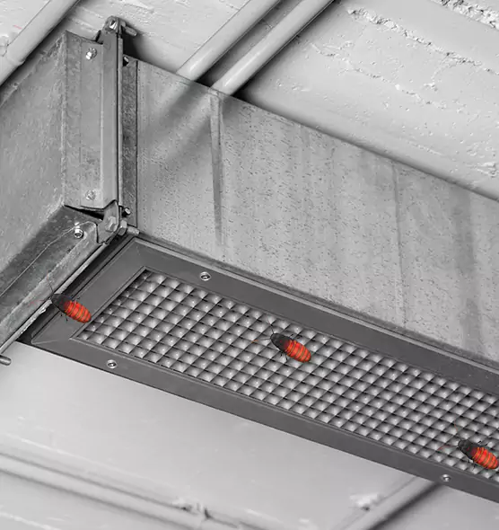 About Air Duct Cockroach Removal in Bismarck, ND