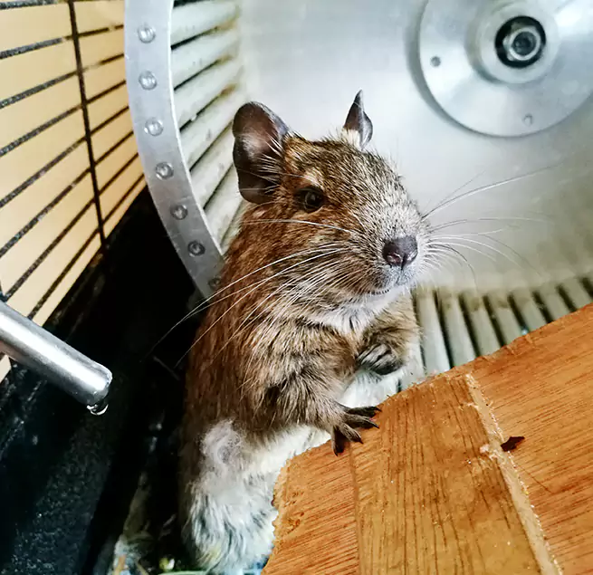 Why Homeowners & Businesses Trust Us Bismarck, ND