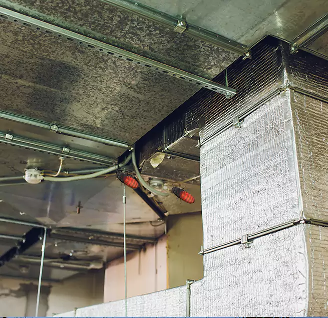 Why Homeowners & Businesses Trust Us Bismarck, ND?